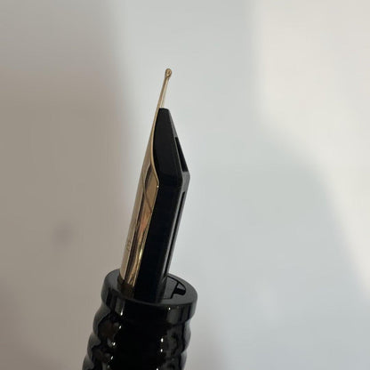 Unused WATERMAN fountain pen with fine nib and included cartridge