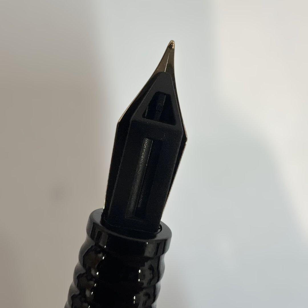 Unused WATERMAN fountain pen with fine nib and included cartridge