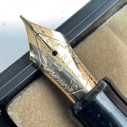 Pilot fountain pen with 14K nib displayed alongside its protective case