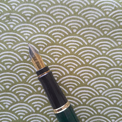 Waterman fountain pen with fine nib showing slight mark near nib and clean pen body