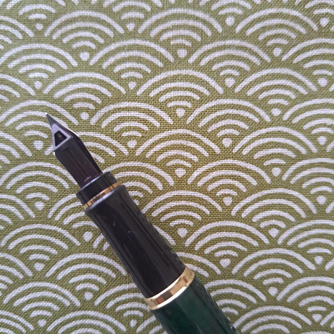 Waterman fountain pen with fine nib showing slight mark near nib and clean pen body