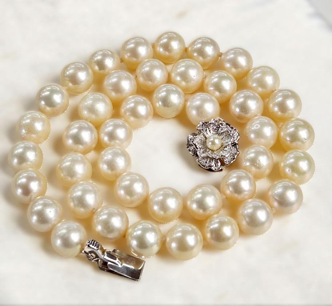 Akoya genuine pearl necklace with 9.5mm natural to cream beads on a 42cm silver chain