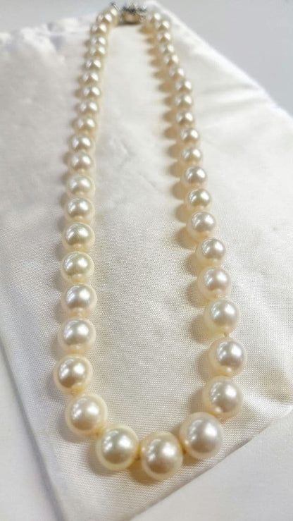 Akoya genuine pearl necklace with 9.5mm natural to cream beads on a 42cm silver chain