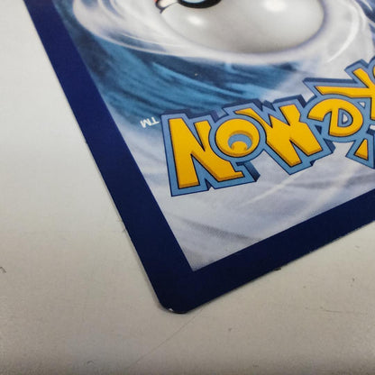 Pokemon Charizard VMAX SWSH — English