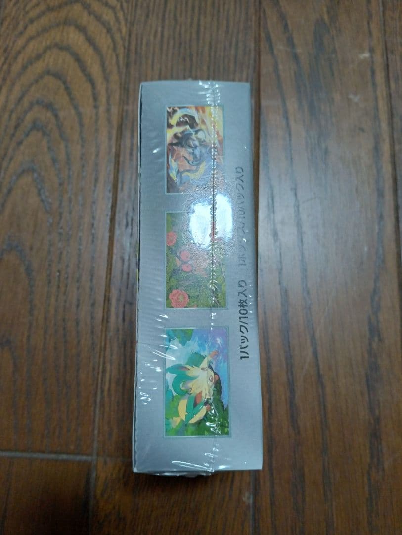 Pokemon Pokémon Teraastal Fest EX Box — Japanese