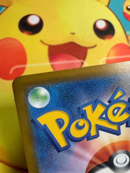Pokemon Iris's Resolve — Japanese