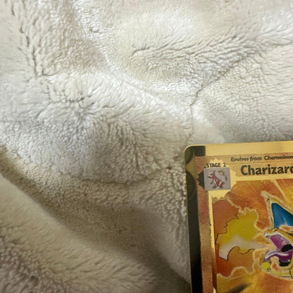 Pokemon Charizard — Japanese