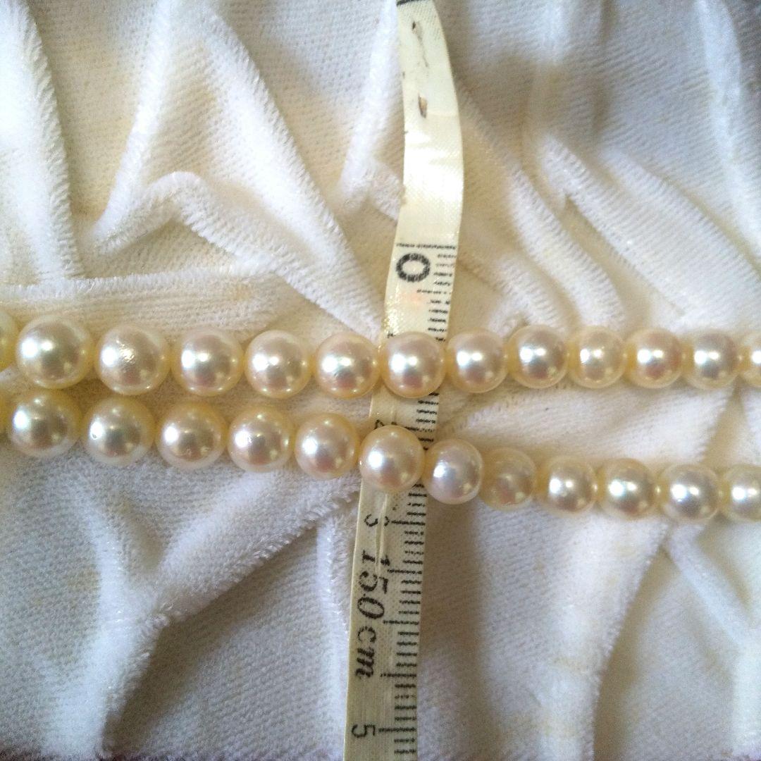 Authentic Akoya pearl double necklace with cream pearls and silver decorated clasp on white background