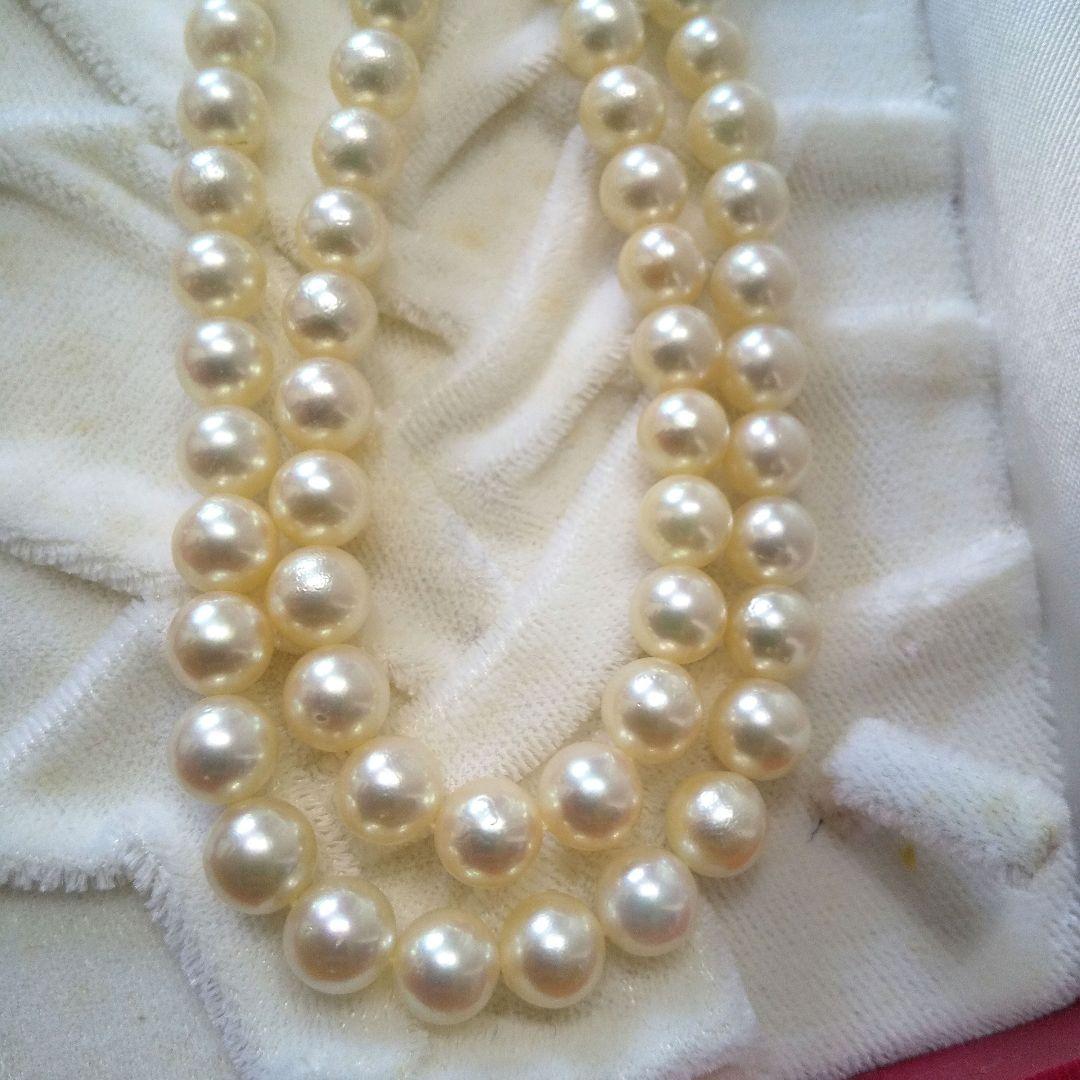 Authentic Akoya pearl double necklace with cream pearls and silver decorated clasp on white background