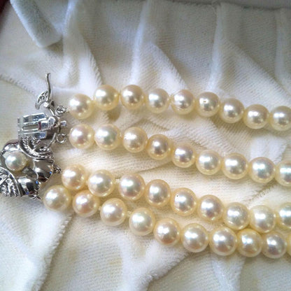 Authentic Akoya pearl double necklace with cream pearls and silver decorated clasp on white background