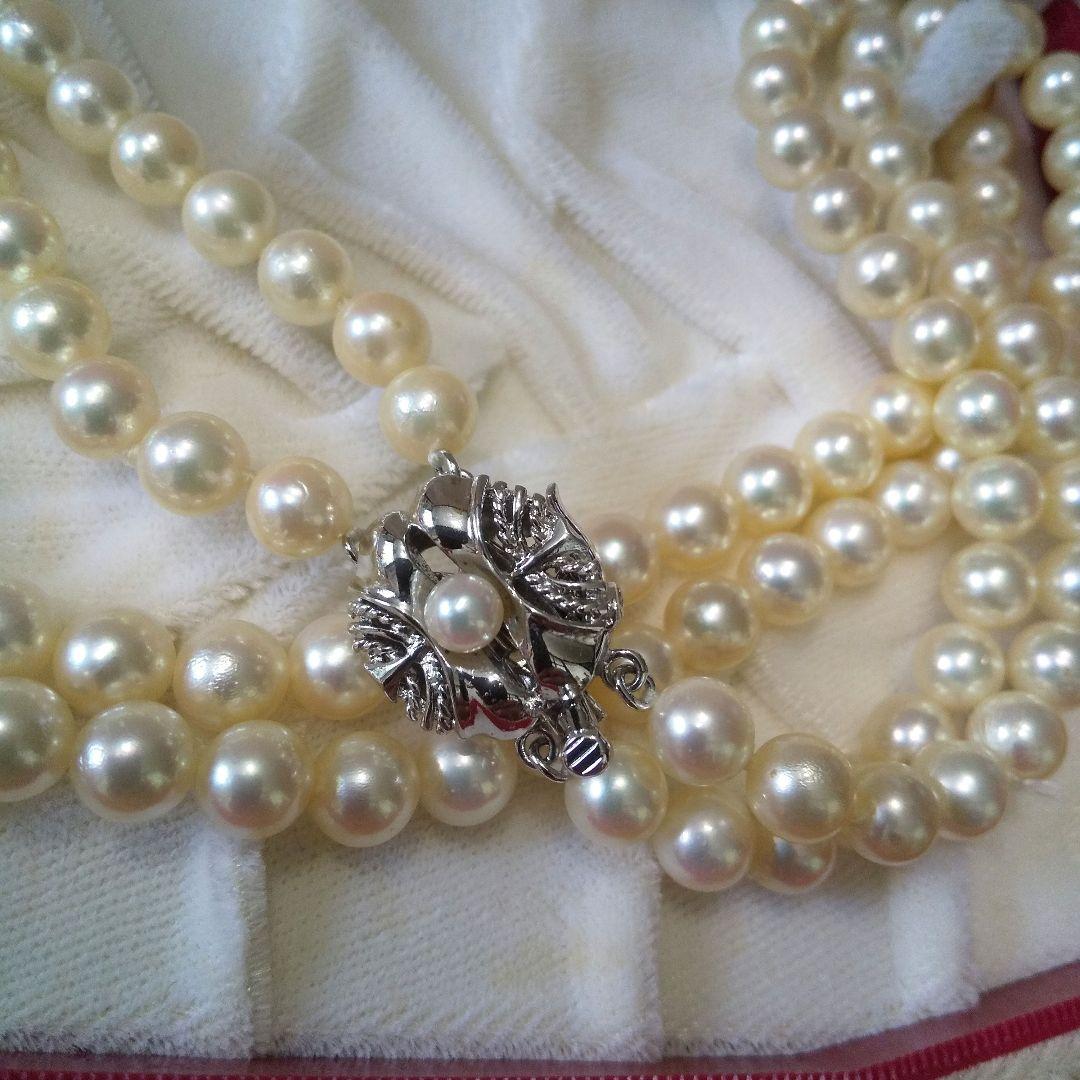 Authentic Akoya pearl double necklace with cream pearls and silver decorated clasp on white background