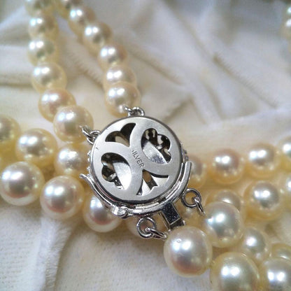 Authentic Akoya pearl double necklace with cream pearls and silver decorated clasp on white background
