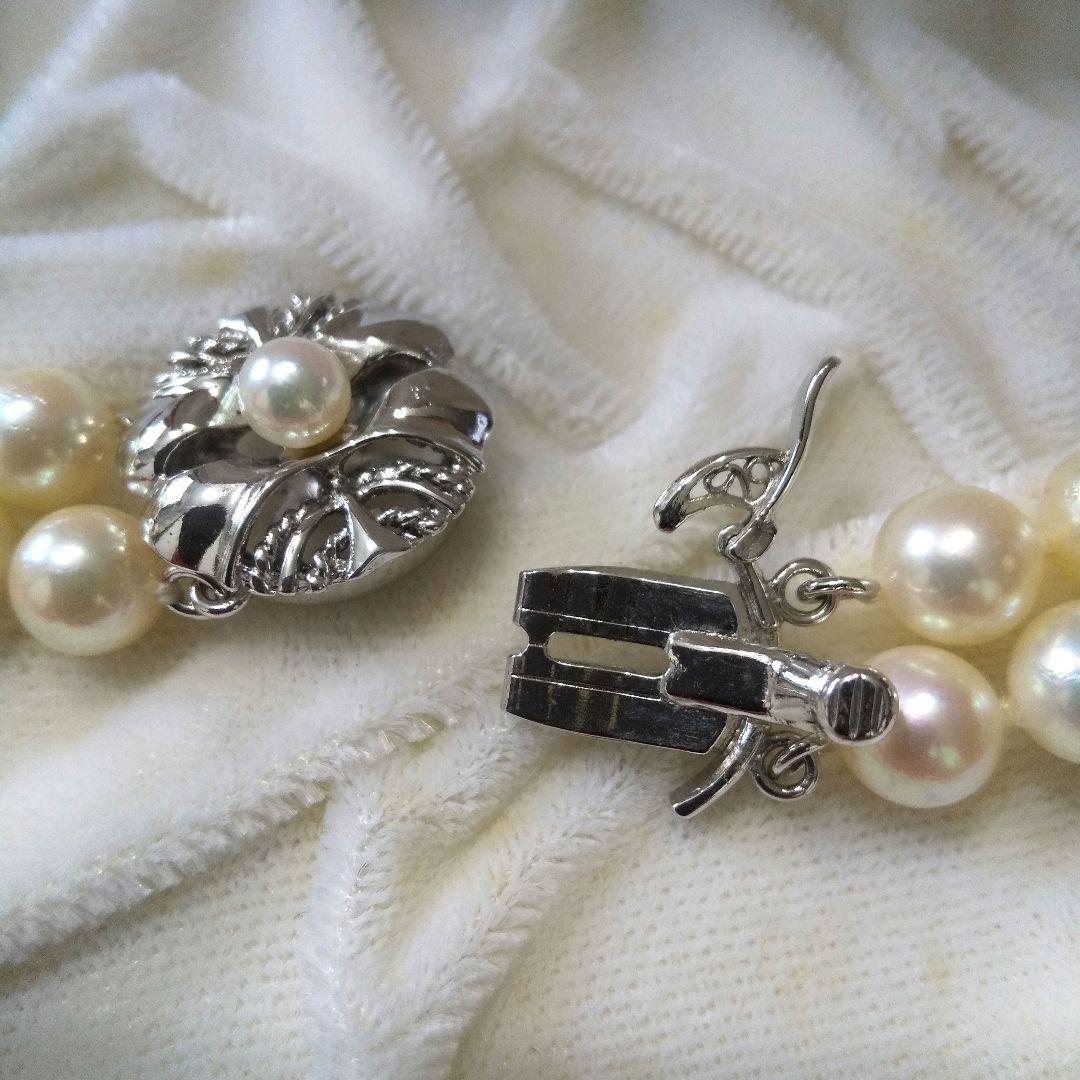 Authentic Akoya pearl double necklace with cream pearls and silver decorated clasp on white background
