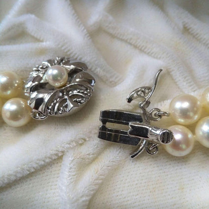Authentic Akoya pearl double necklace with cream pearls and silver decorated clasp on white background