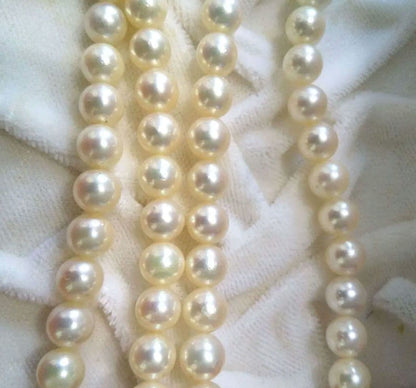 Authentic Akoya pearl double necklace with cream pearls and silver decorated clasp on white background