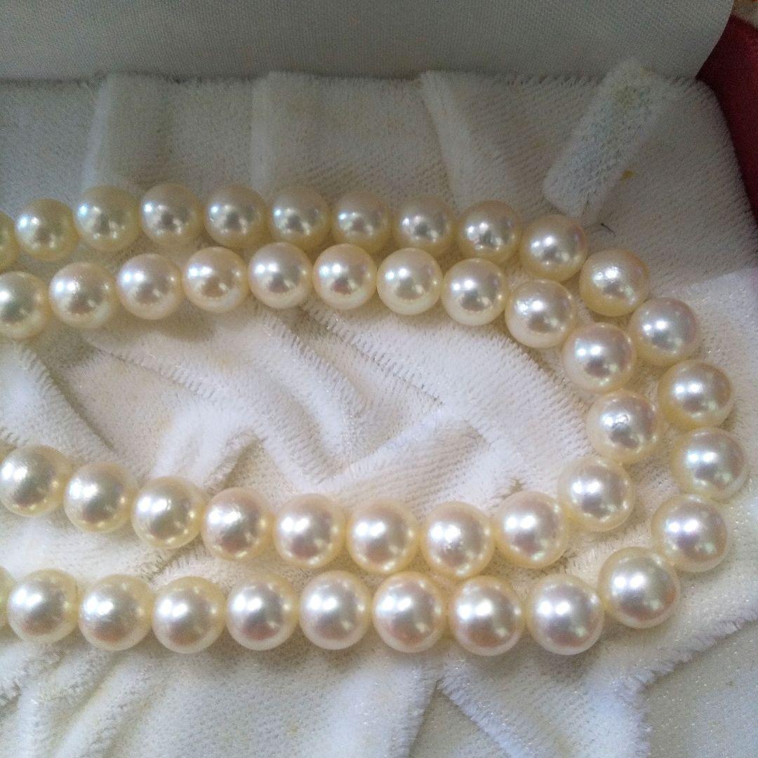 Authentic Akoya pearl double necklace with cream pearls and silver decorated clasp on white background