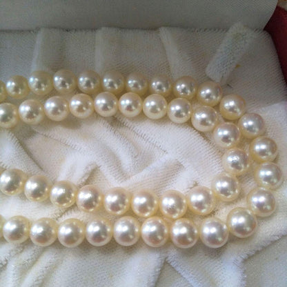 Authentic Akoya pearl double necklace with cream pearls and silver decorated clasp on white background