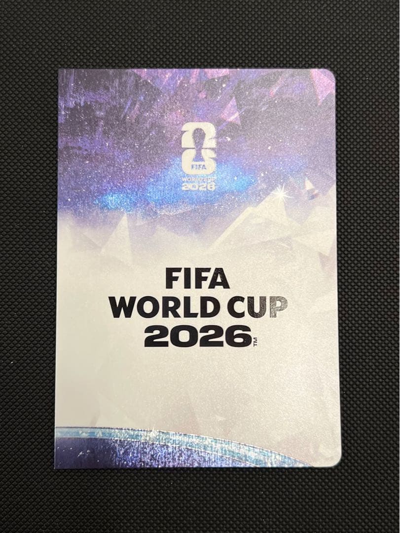 Panini World Cup Maradona Messi Insert — Japanese