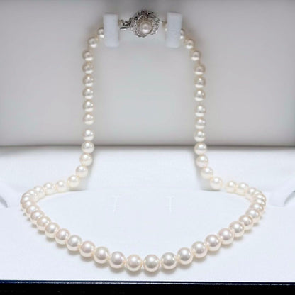 Akoya pearl necklace with white 6.5-6.9mm pearls and silver clasp on a white background
