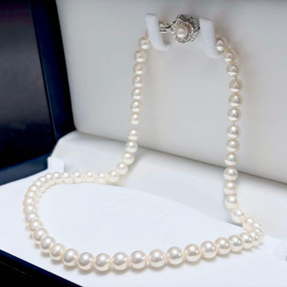 Akoya pearl necklace with white 6.5-6.9mm pearls and silver clasp on a white background