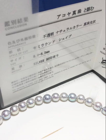 Akoya pearl necklace with light gray semi-round pearls sized 8.0-8.5mm, approximately 39cm long with certification