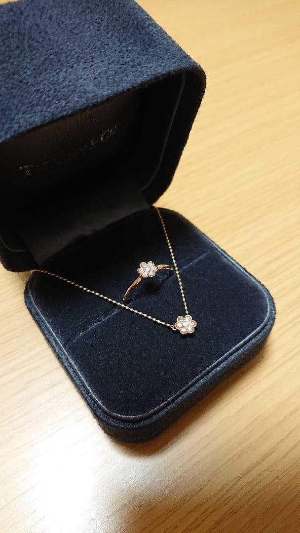 Agatte 2009 Christmas Limited Edition Necklace with adjustable chain and matching ring size 8