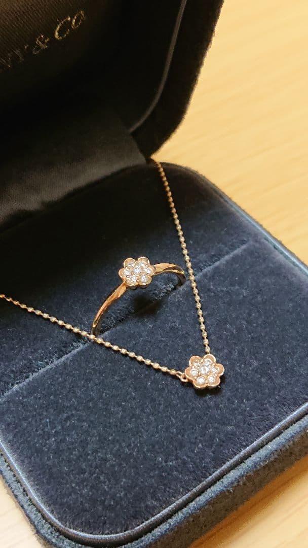 Agatte 2009 Christmas Limited Edition Necklace with adjustable chain and matching ring size 8