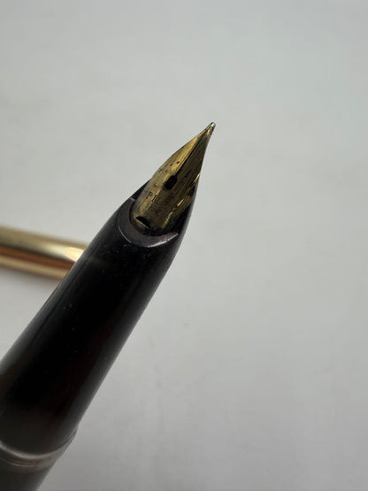 PILOT Fountain Pen with black body and 14K gold accents on a white background