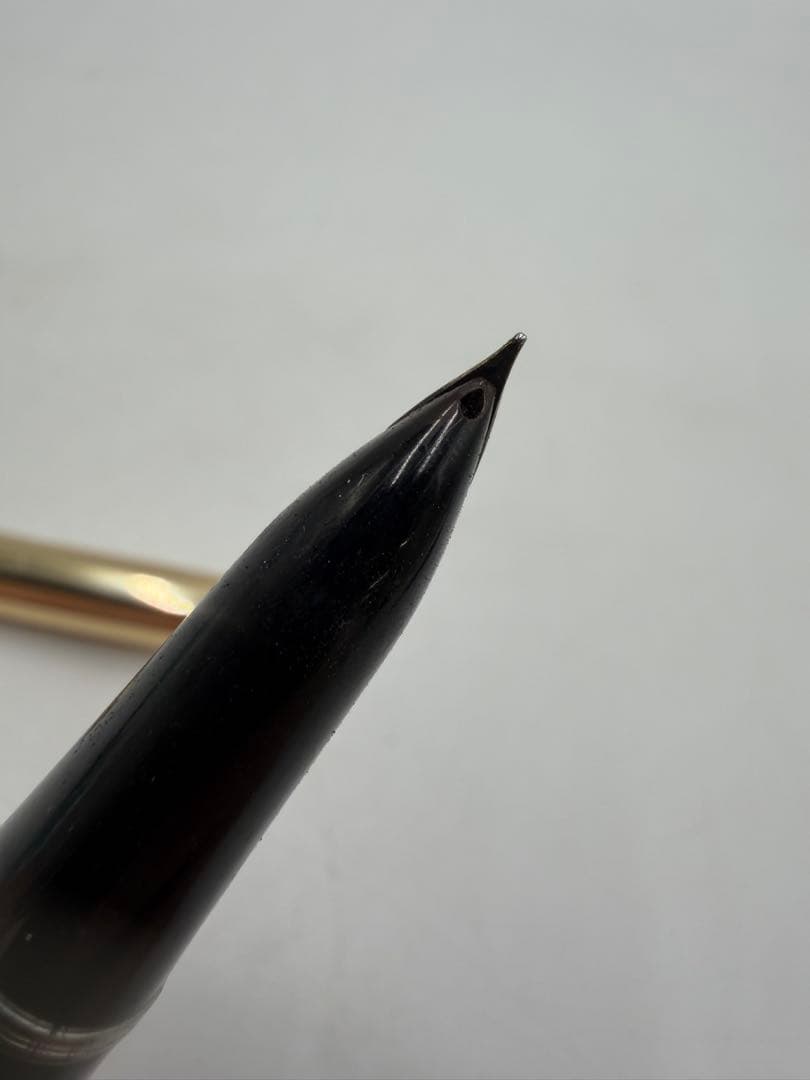PILOT Fountain Pen with black body and 14K gold accents on a white background