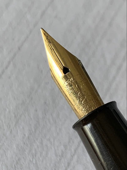 Pilot Fountain Pen featuring a 14K gold nib with a sleek black barrel