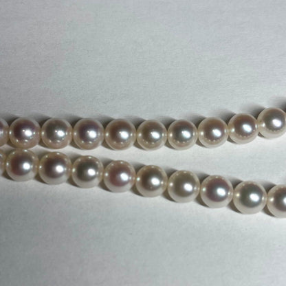 Close-up of Akoya pearl necklace with white pearls showing pink and green interference colors and silver clasp