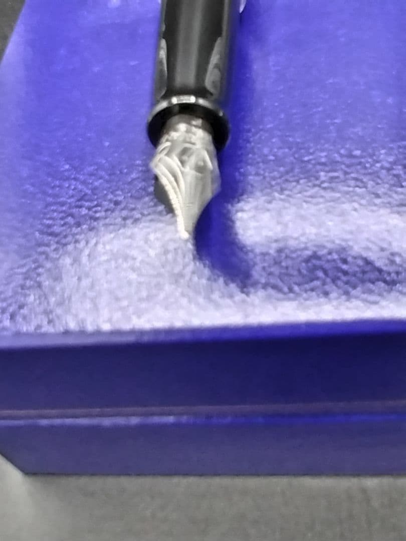 Waterman Metropolitan series metallic fountain pen with dedicated protective case