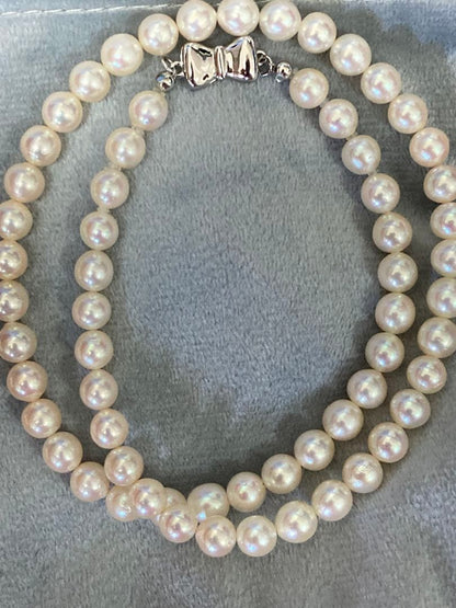 Oyster Akoya pearl necklace with 6-6.5mm pearls and silver clasp laid flat on white background