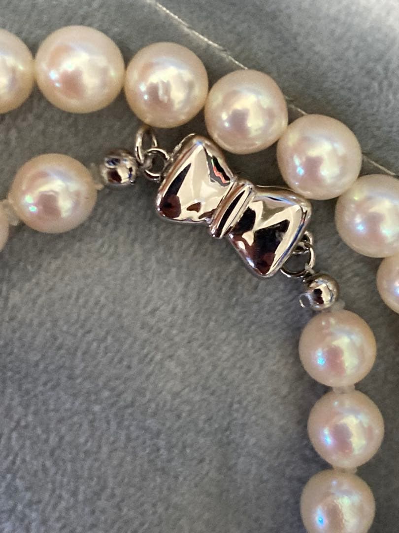 Oyster Akoya pearl necklace with 6-6.5mm pearls and silver clasp laid flat on white background