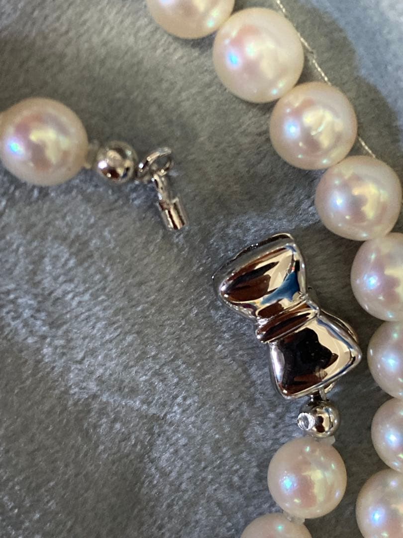 Oyster Akoya pearl necklace with 6-6.5mm pearls and silver clasp laid flat on white background
