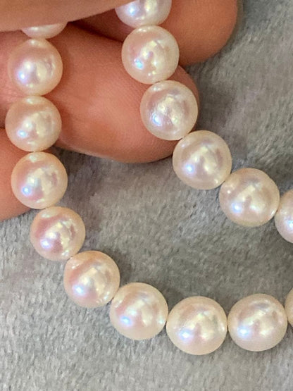 Oyster Akoya pearl necklace with 6-6.5mm pearls and silver clasp laid flat on white background