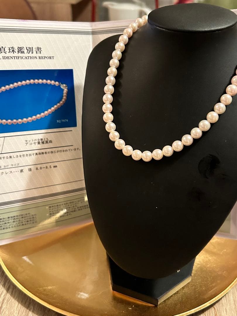 Akoya Pearl measuring 8.0×8.5 mm with its certificate displayed