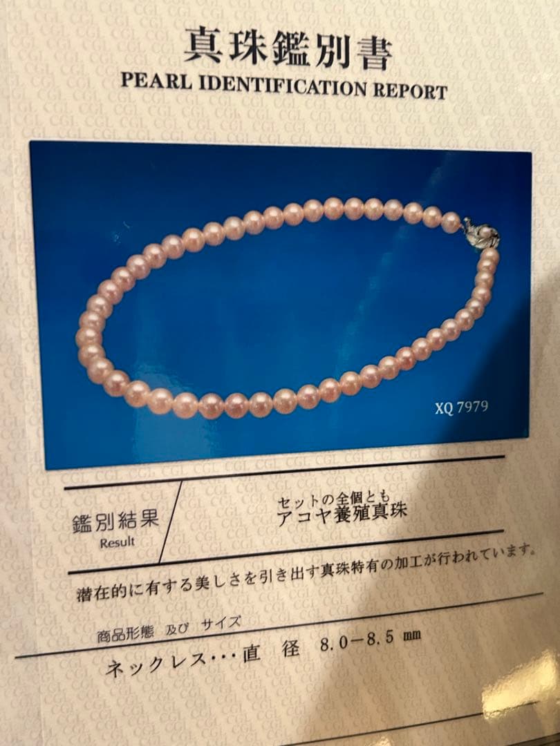 Akoya Pearl measuring 8.0×8.5 mm with its certificate displayed
