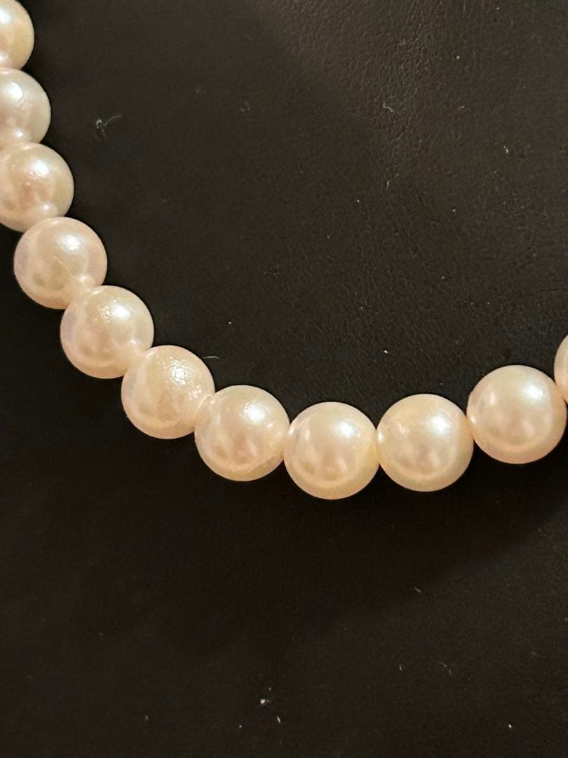 Akoya Pearl measuring 8.0×8.5 mm with its certificate displayed