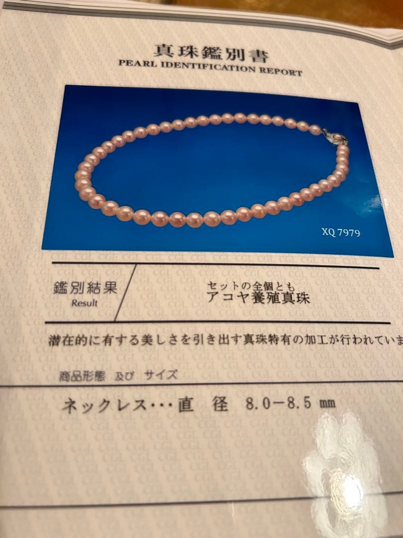 Akoya Pearl measuring 8.0×8.5 mm with its certificate displayed