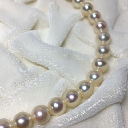 TASAKI Akoya pearl necklace 6.5-6.9mm pearls with SV clasp displayed on a white background