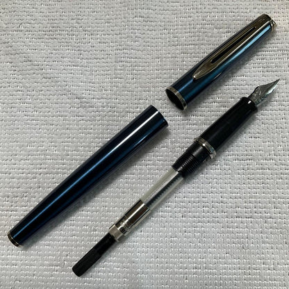 WATERMAN fountain pen with converter and black pen case holding three writing instruments