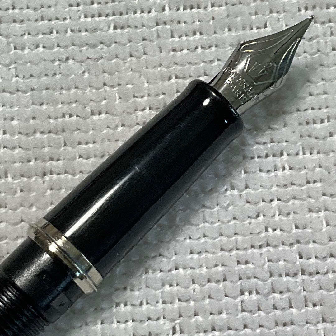 WATERMAN fountain pen with converter and black pen case holding three writing instruments
