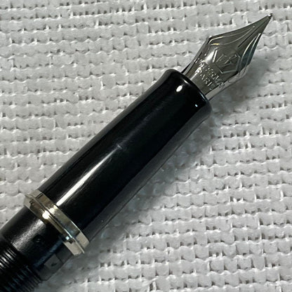 WATERMAN fountain pen with converter and black pen case holding three writing instruments