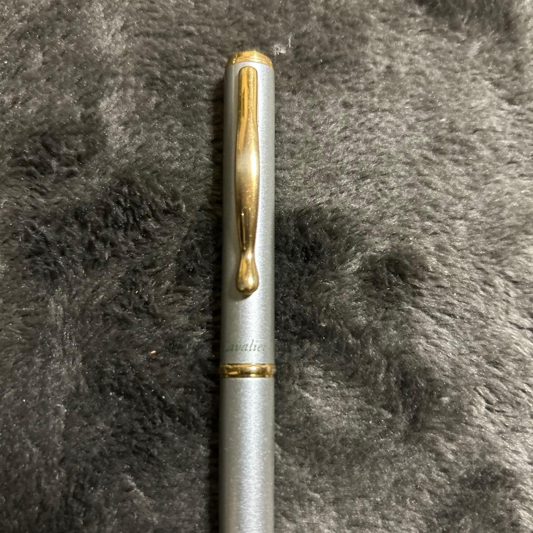 Used PILOT Pavé silver fountain pen with gold clip and metal body
