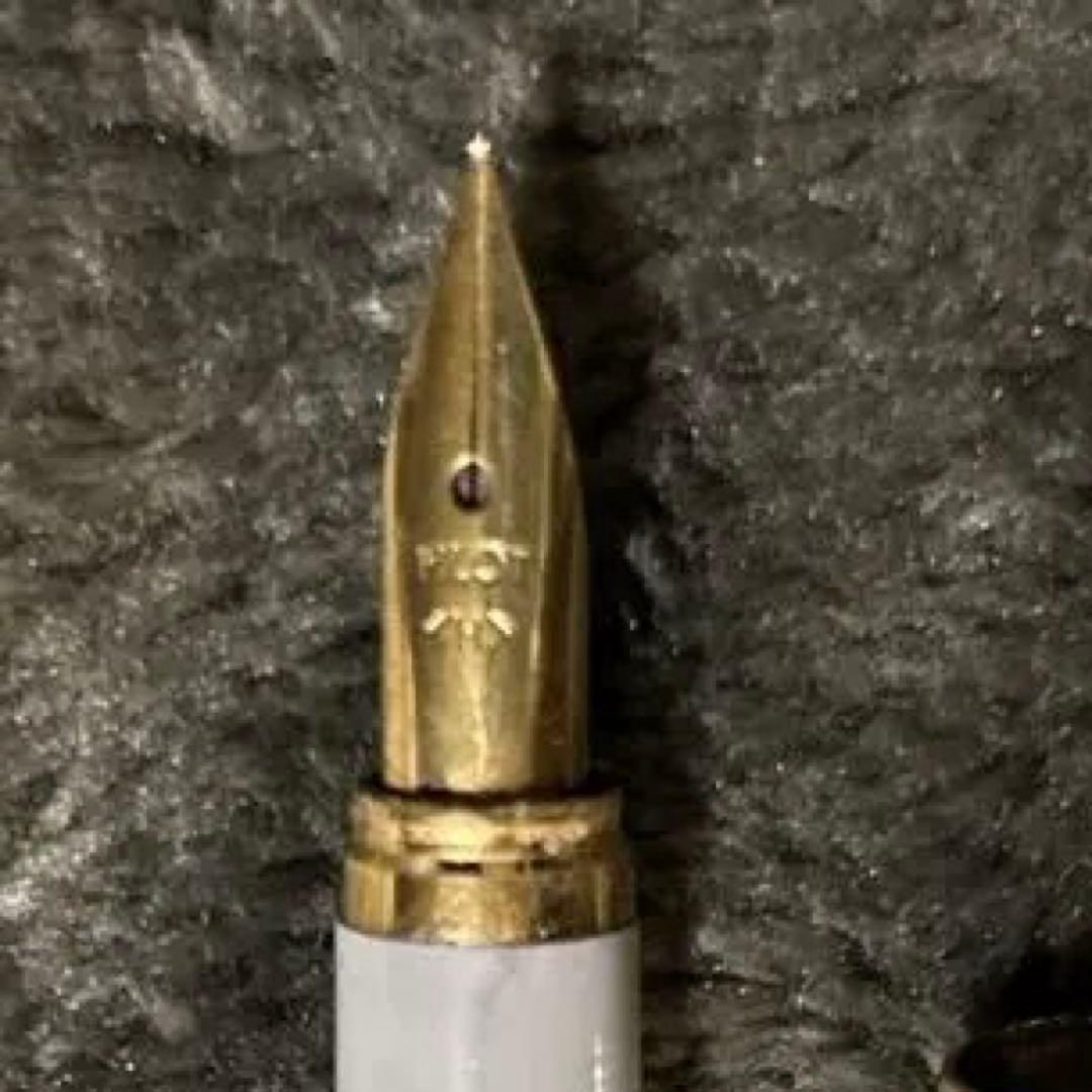 Used PILOT Pavé silver fountain pen with gold clip and metal body