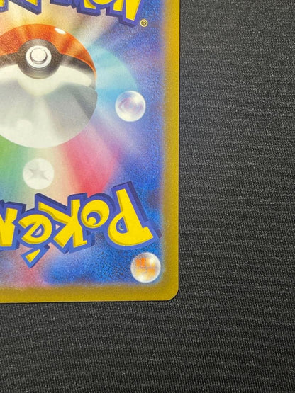 Pokemon Paucky VSTAR SAR — 214/172 — Japanese