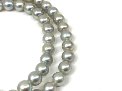 Camellia Akoya pearl necklace with 7.0-7.4mm pearls, single strand, and silver clasp on white background