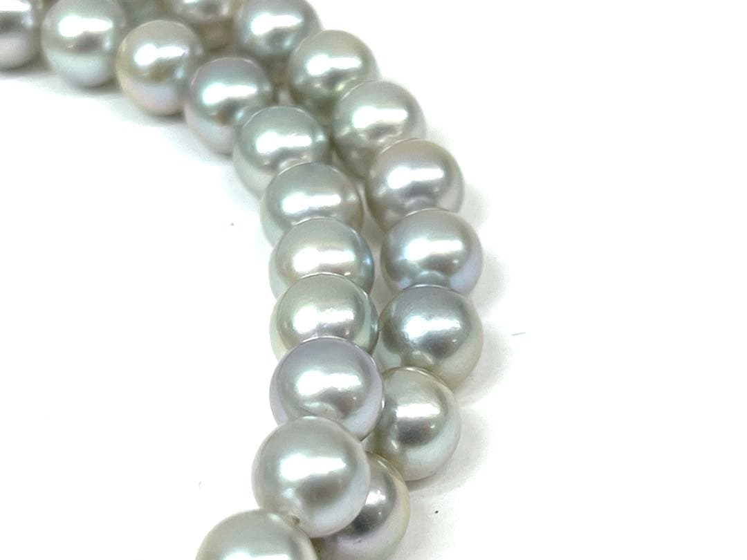 Camellia Akoya pearl necklace with 7.0-7.4mm pearls, single strand, and silver clasp on white background