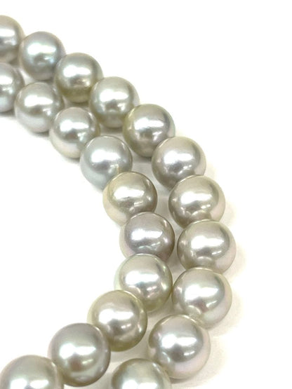 Camellia Akoya pearl necklace with 7.0-7.4mm pearls, single strand, and silver clasp on white background